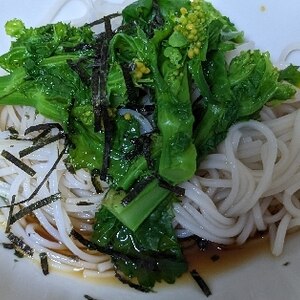 ６分！？+菜の花❤・・❤ぶっかけ蕎麦♪